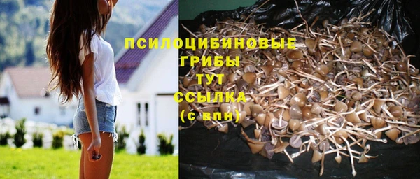 spice Надым