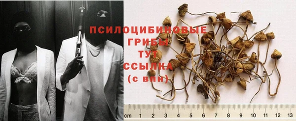 MESCALINE Нефтегорск